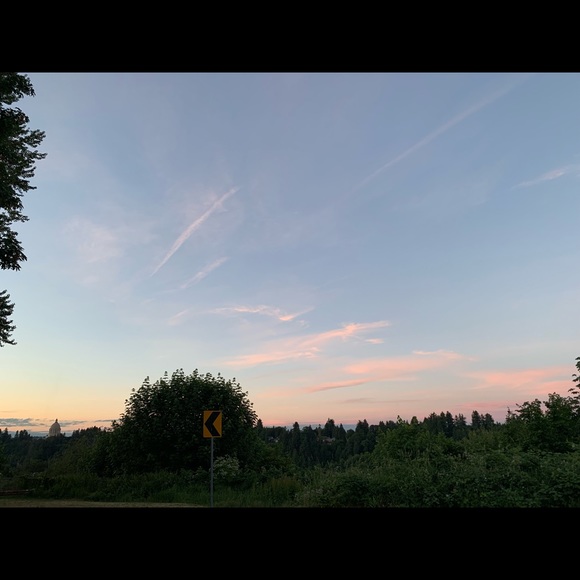 Meet your Posher, Mackenze - Picture 1 of 1